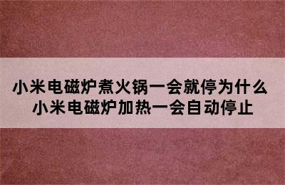 小米电磁炉煮火锅一会就停为什么 小米电磁炉加热一会自动停止